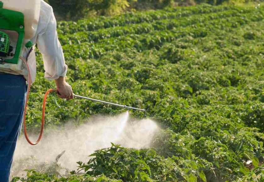 Altera&ccedil;&atilde;o da valihttps://www.ccdrc.pt/pt/90599-2/dade da habilita&ccedil;&atilde;o de aplicador de produtos fitofarmac&ecirc;uticos  